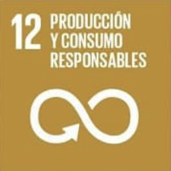 ODS 12 Producción y Consumo Responsable