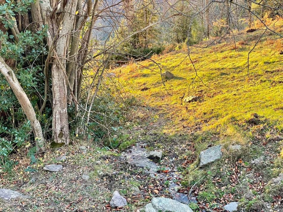 Código ético de BeSost Consultoría Sostenibilidad, RSC y ODS