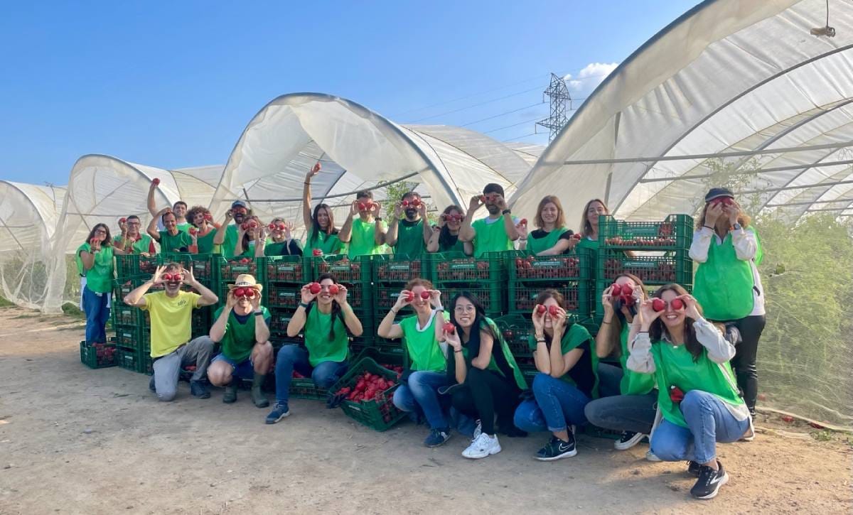 Voluntariado corporativo y estrategia de sostenibilidad