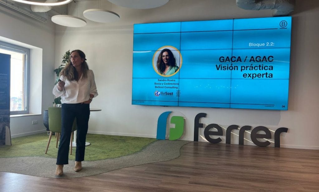 Asuntos Gubernamentales y Acción Colectiva en el Grupo de Trabajo de Grandes B Corps